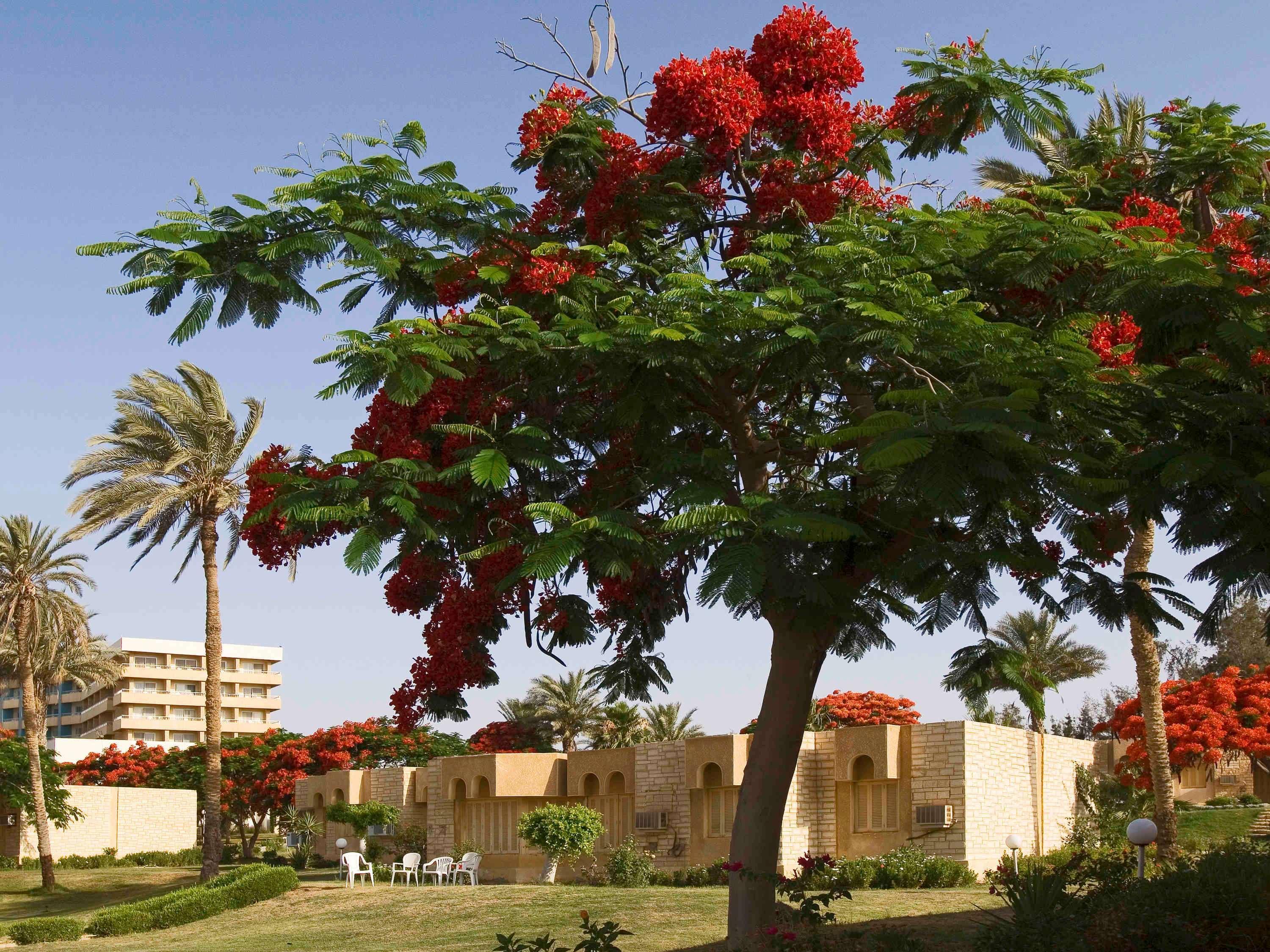 Mercure Ismailia Forsan Island Экстерьер фото