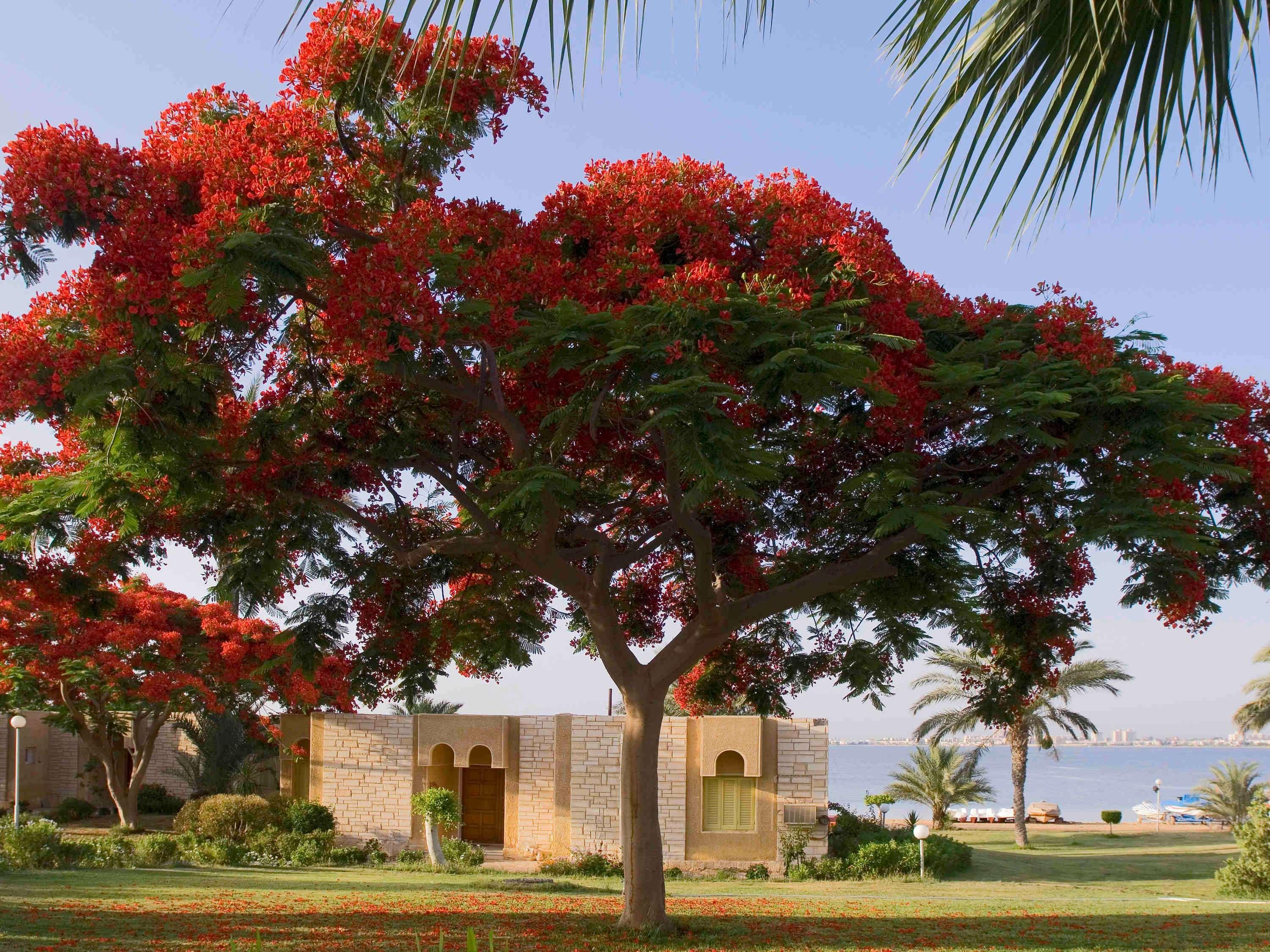Mercure Ismailia Forsan Island Экстерьер фото